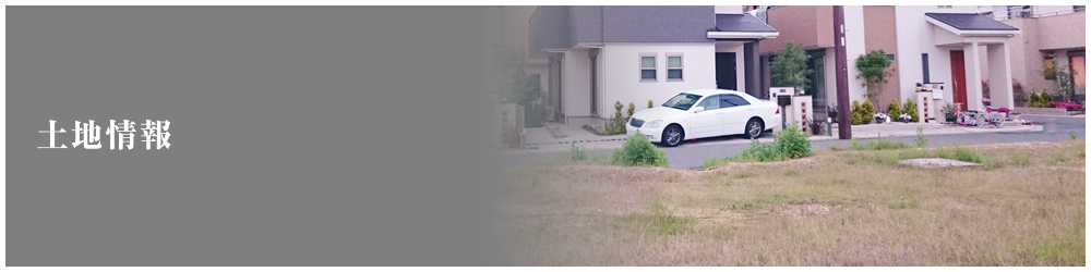 土地情報